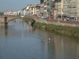 Florence 2005 :: Views of Florence, Tuscany and Italy :: Skulling along the north bank of the Arno